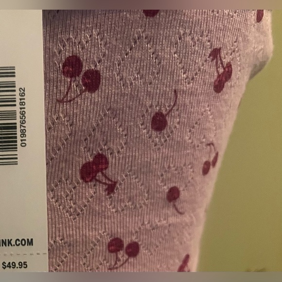 NWT VICTORIA SECRET 🍒 & PINK POINTELLE SLIP DRESS! COMES W/VS 🍒 OR LACE UNDIES! - Picture 5 of 6